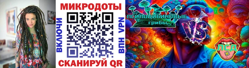 Галлюциногенные грибы Psilocybine cubensis  Ковылкино 
